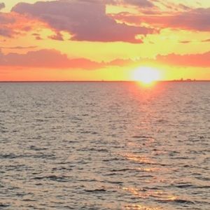 Meet your Posher, Jo